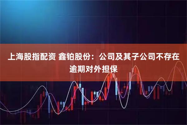 上海股指配资 鑫铂股份：公司及其子公司不存在逾期对外担保